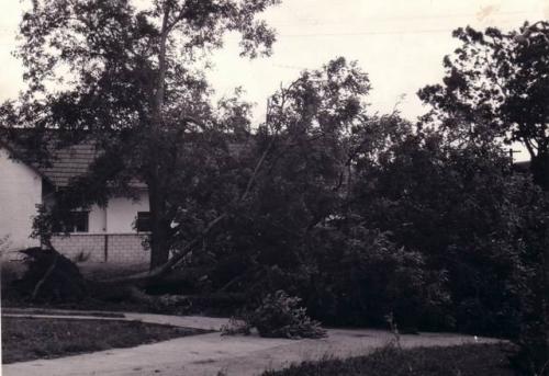 Následky vichřice v roce 1969